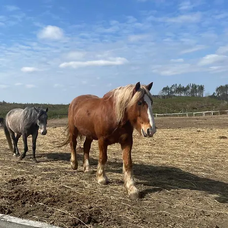 House Dom Na Kaszubach Vakantiehuis