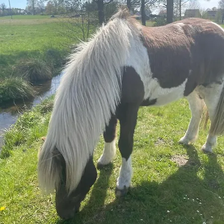 Vakantiehuis House Dom Na Kaszubach