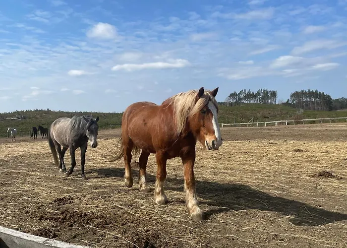 House Dom Na Kaszubach Nyaraló