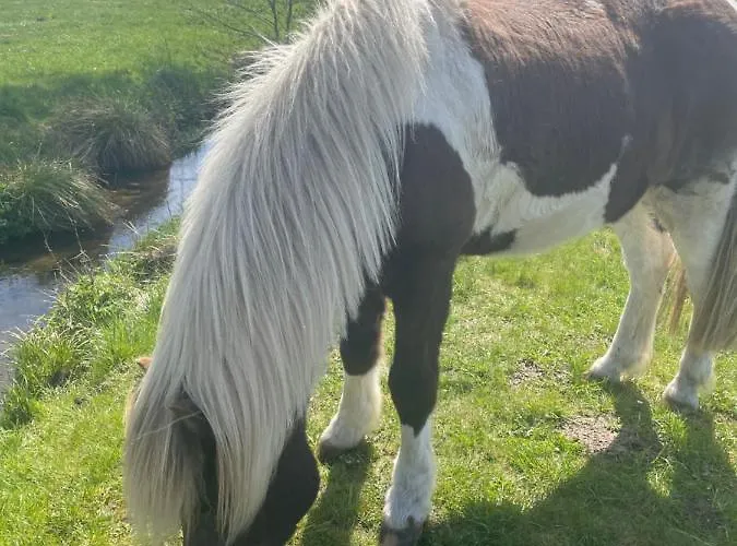 Nyaraló House Dom Na Kaszubach