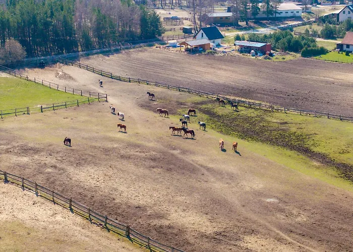 House Dom Na Kaszubach Prázdninový dům Sominy